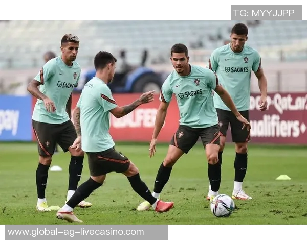 葡萄牙足球的辉煌历程与未来发展展望分析